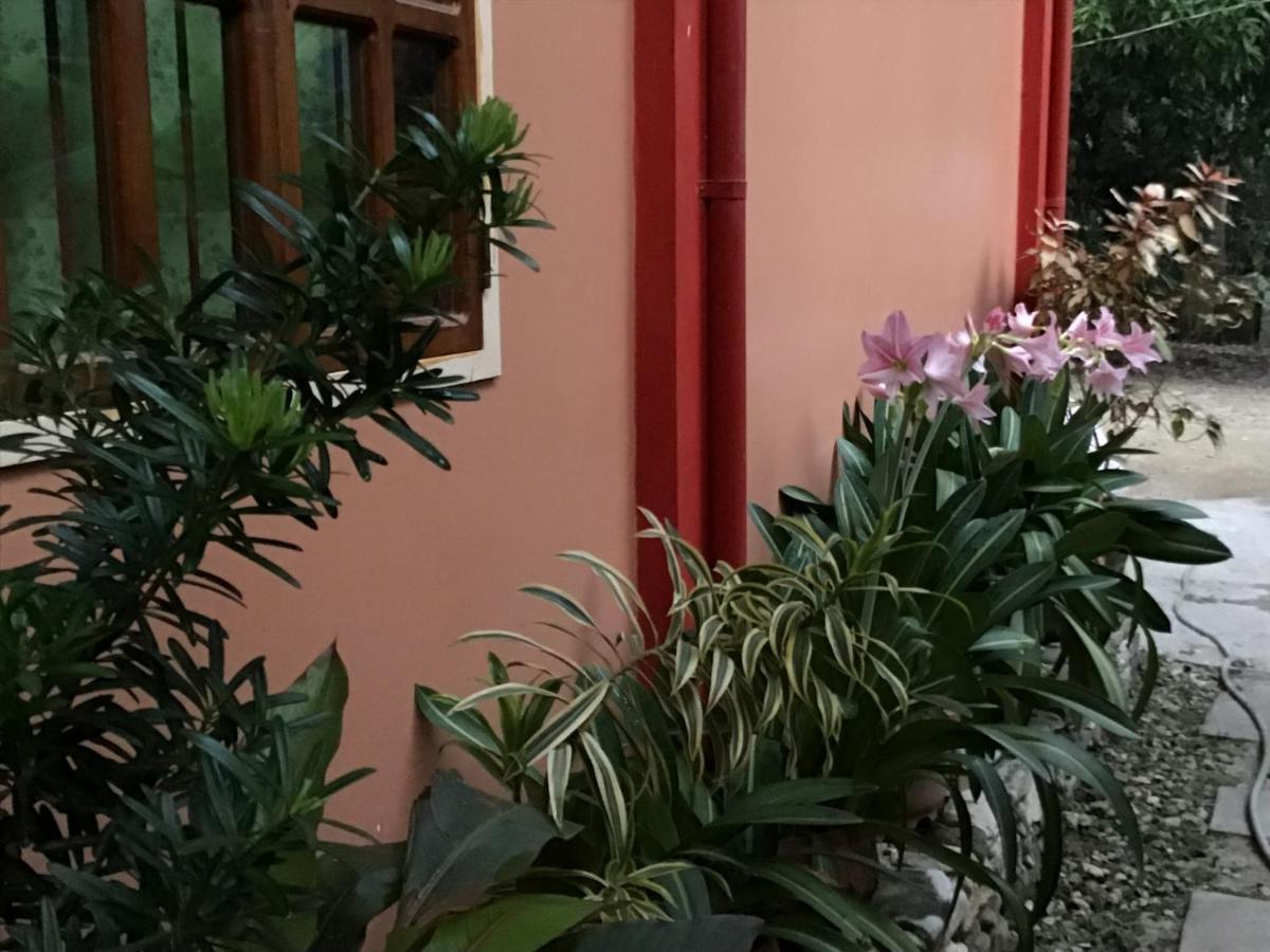 Ferranco Tourist Inn San Vicente  Eksteriør bilde